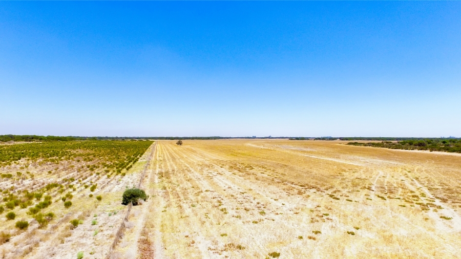 12 Bedroom Property for Sale in Hopefield Rural Western Cape